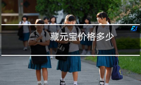藏元宝价格多少