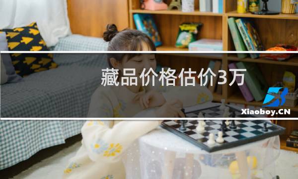 藏品价格估价3万