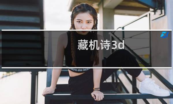 藏机诗3d