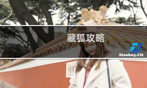 藏狐攻略
