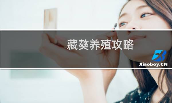 藏獒养殖攻略