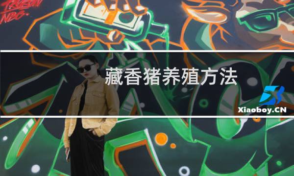 藏香猪养殖方法