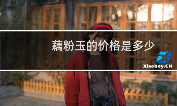 藕粉玉的价格是多少
