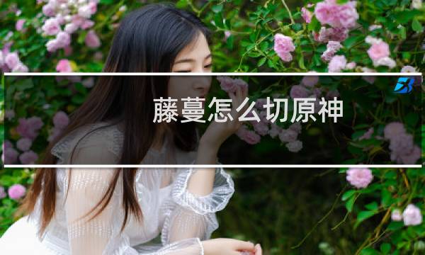 藤蔓怎么切原神