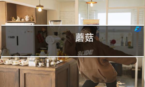 蘑菇 dx 攻略