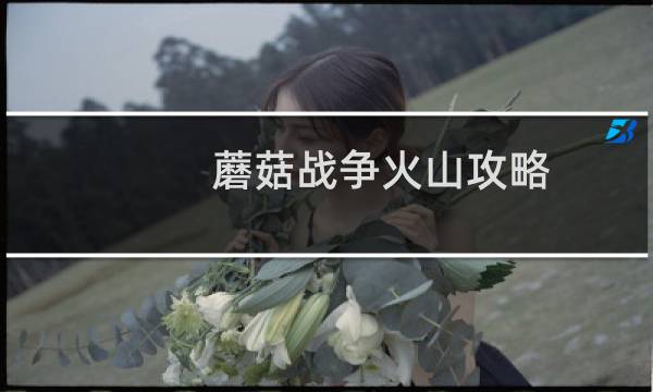 蘑菇战争火山攻略