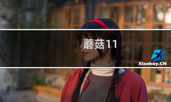 蘑菇11 攻略第4