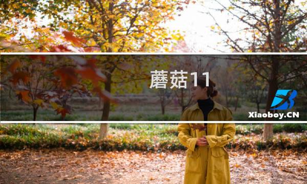 蘑菇11 攻略第6关