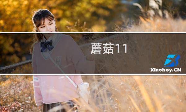 蘑菇11 第4关攻略