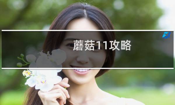蘑菇11攻略