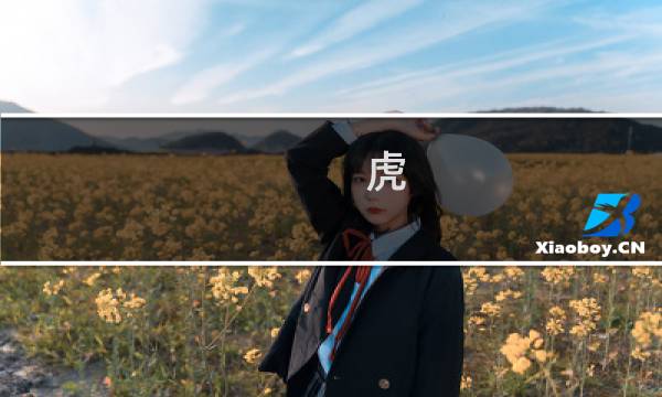 虎 龙 攻略