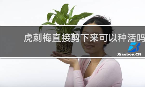 虎刺梅直接剪下来可以种活吗