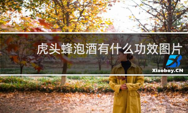 虎头蜂泡酒有什么功效图片