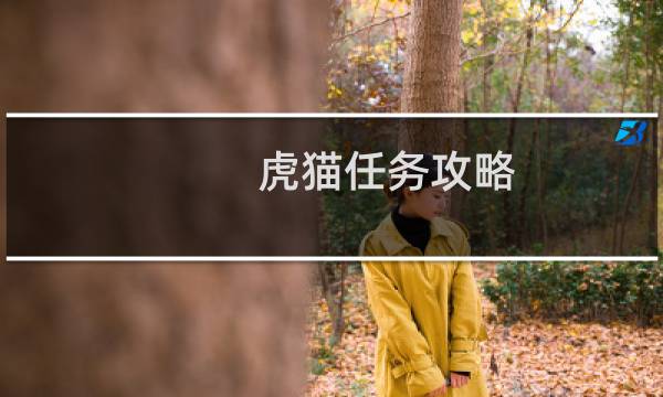 虎猫任务攻略