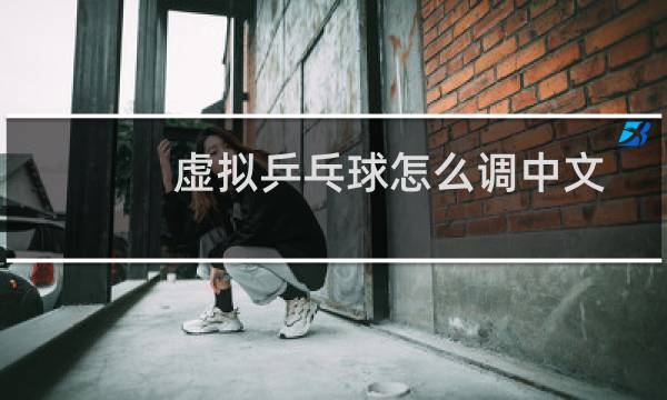 虚拟乒乓球怎么调中文