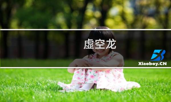 虚空龙 攻略