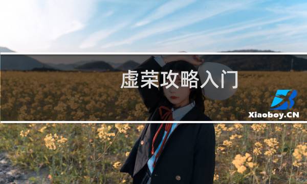 虚荣攻略入门