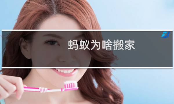 蚂蚁为啥搬家