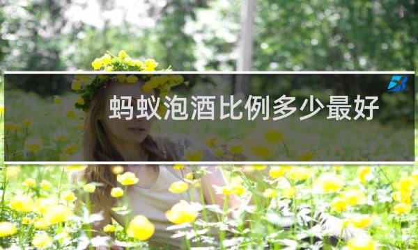蚂蚁泡酒比例多少最好
