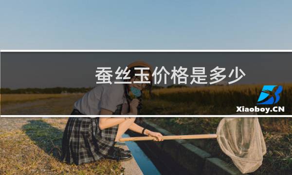 蚕丝玉价格是多少