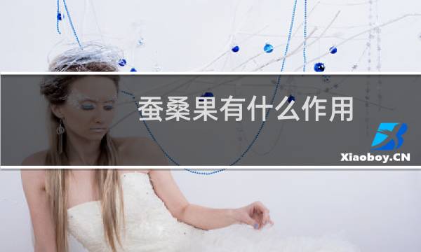 蚕桑果有什么作用