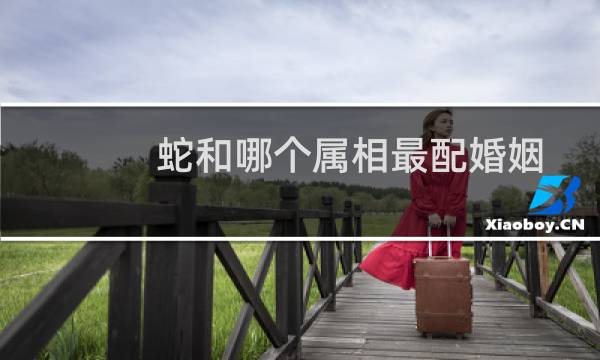 蛇和哪个属相最配婚姻
