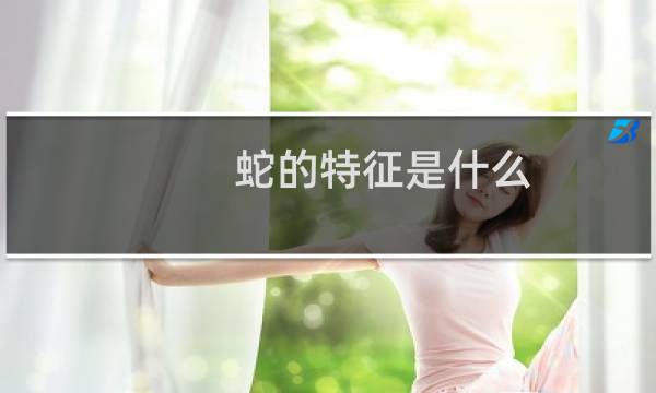 蛇的特征是什么