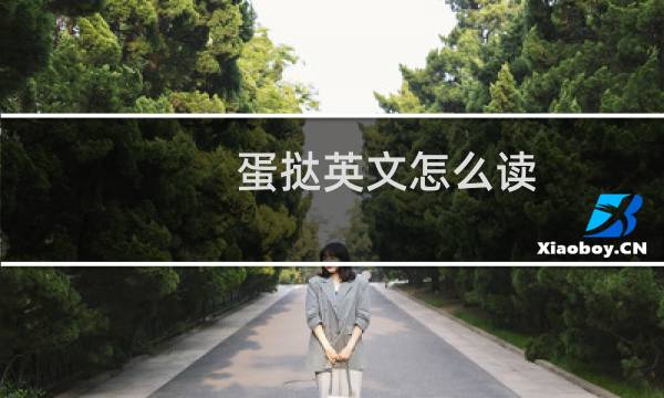 蛋挞英文怎么读