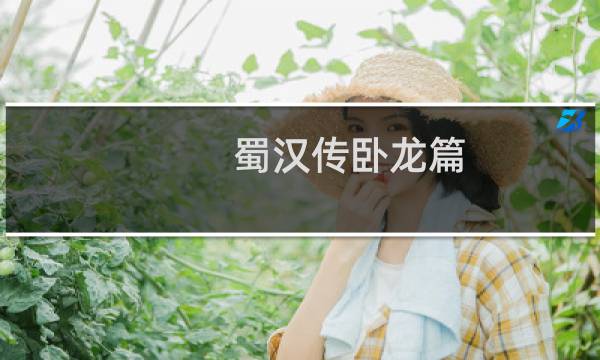 蜀汉传卧龙篇 攻略