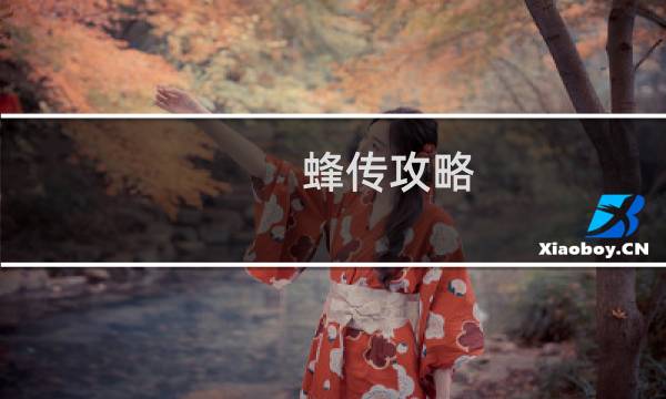 蜂传攻略