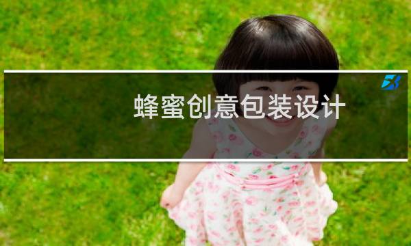 蜂蜜创意包装设计