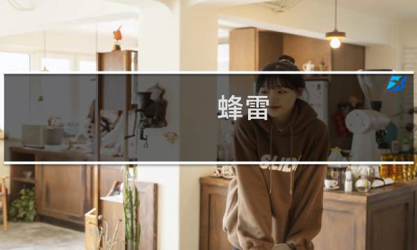蜂雷 攻略