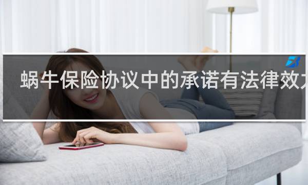 蜗牛保险协议中的承诺有法律效力吗