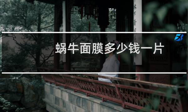 蜗牛面膜多少钱一片