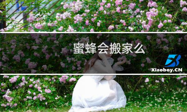 蜜蜂会搬家么