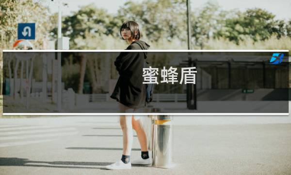 蜜蜂盾 攻略