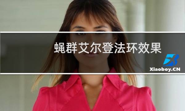 蝇群艾尔登法环效果
