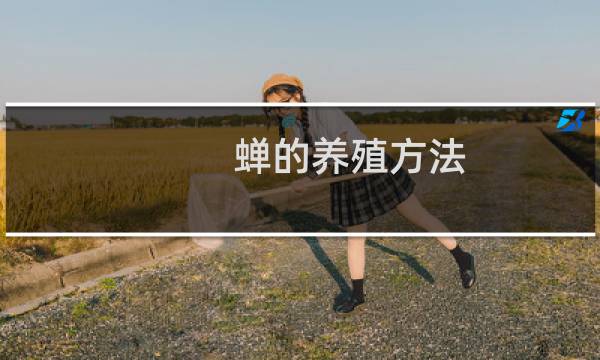蝉的养殖方法