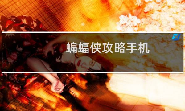 蝙蝠侠攻略手机