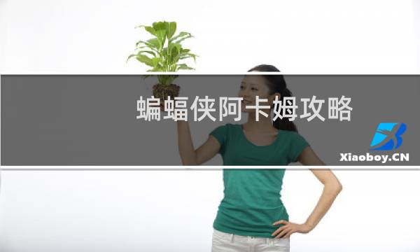 蝙蝠侠阿卡姆攻略