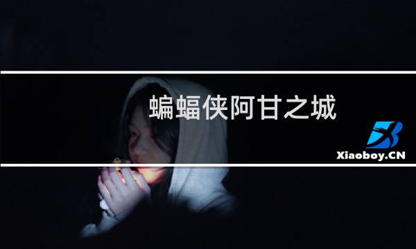 蝙蝠侠阿甘之城 攻略