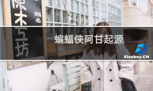 蝙蝠侠阿甘起源 视频攻略