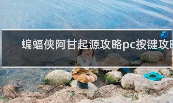 蝙蝠侠阿甘起源攻略pc按键攻略