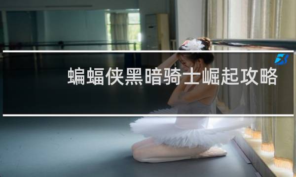 蝙蝠侠黑暗骑士崛起攻略