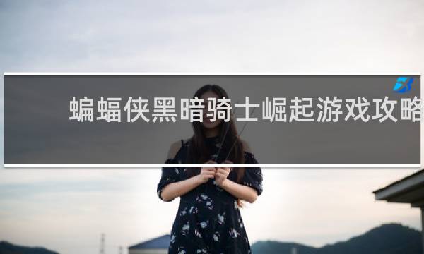 蝙蝠侠黑暗骑士崛起游戏攻略