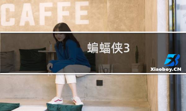 蝙蝠侠3 攻略