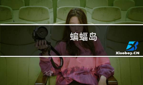 蝙蝠岛 攻略