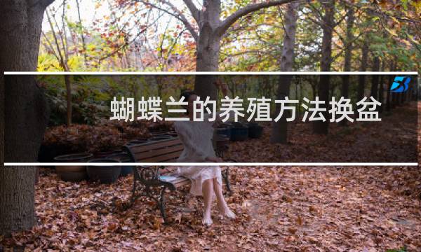 蝴蝶兰的养殖方法换盆