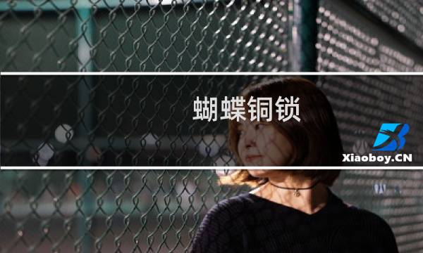 蝴蝶铜锁 价格