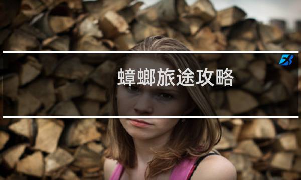蟑螂旅途攻略